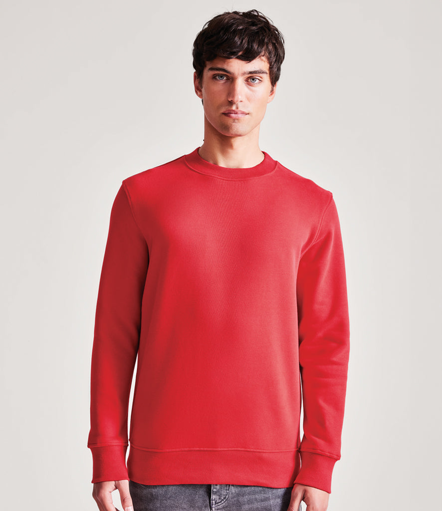 Anthem Organic Sweatshirt